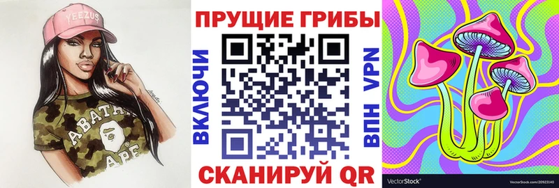 Псилоцибиновые грибы Psilocybe  дарнет шоп  Северодвинск 