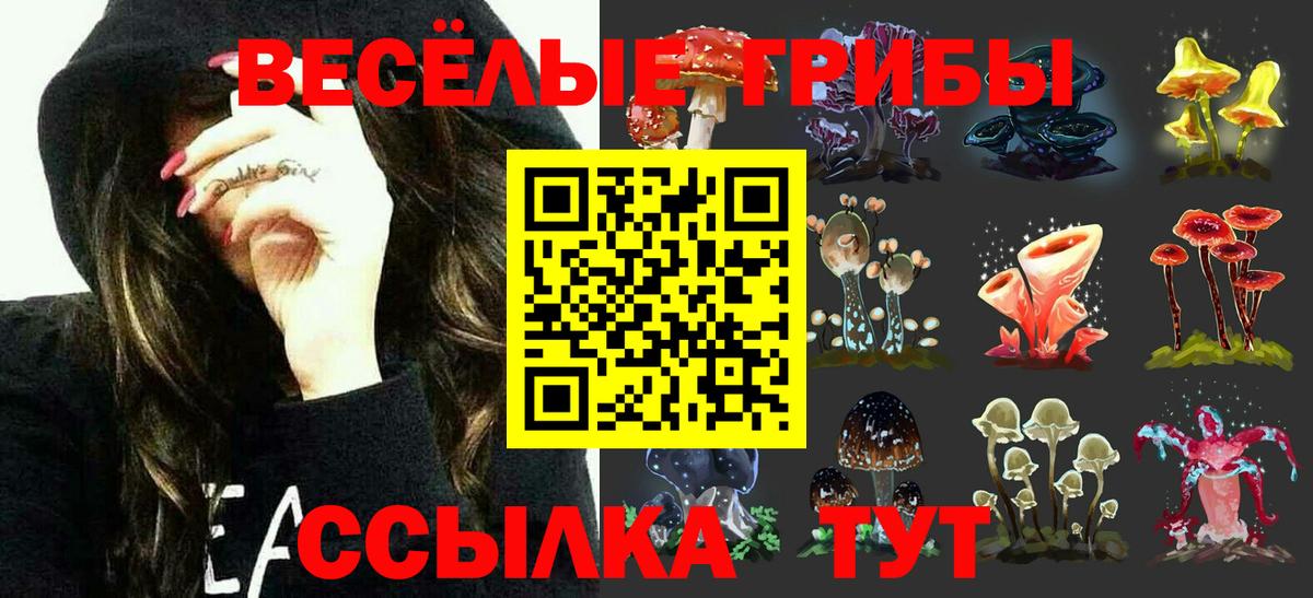 Северодвинск  Галлюциногенные грибы GOLDEN TEACHER  Псилоцибиновые грибы Cubensis  купить наркотики цена  Вход с VPN 