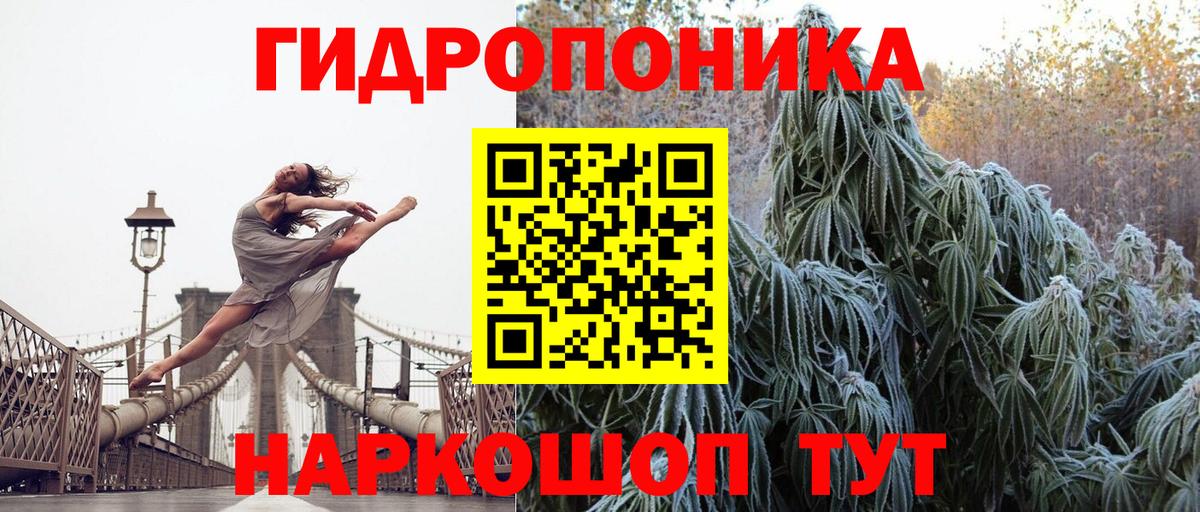 Бошки марихуана MAZAR Северодвинск